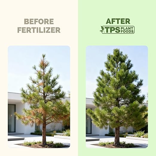 Tree Fertilizer – Liquid Plant Food for Stronger Roots, Fuller Foliage & Healthy Tree Growth, 8 oz