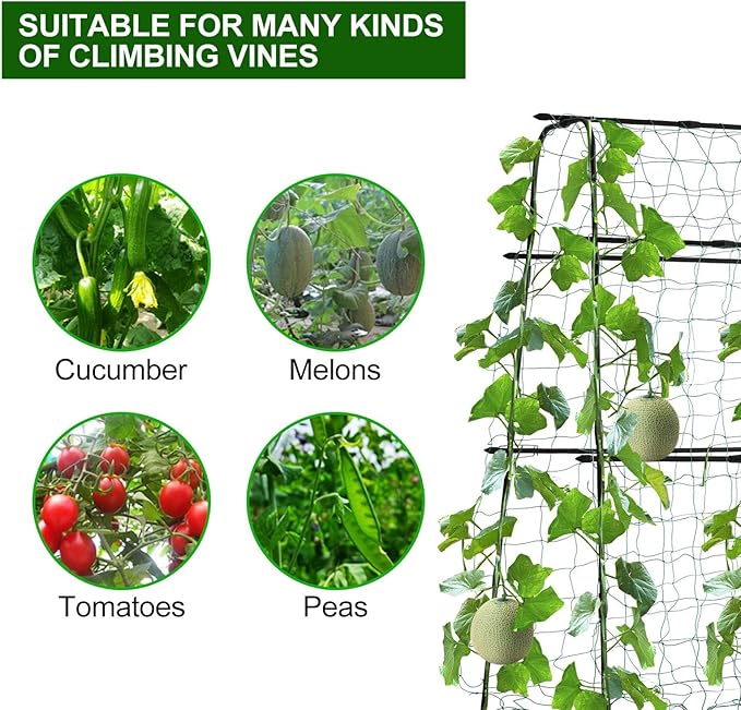 Cucumber Trellis for Raised Bed, 5x5ft Metal Garden Trellis Climbing Plants Outdoor Tomato Plant Support Grape Vegetables Squash Bean Pea Cucumber Trellis, with Netting, Black