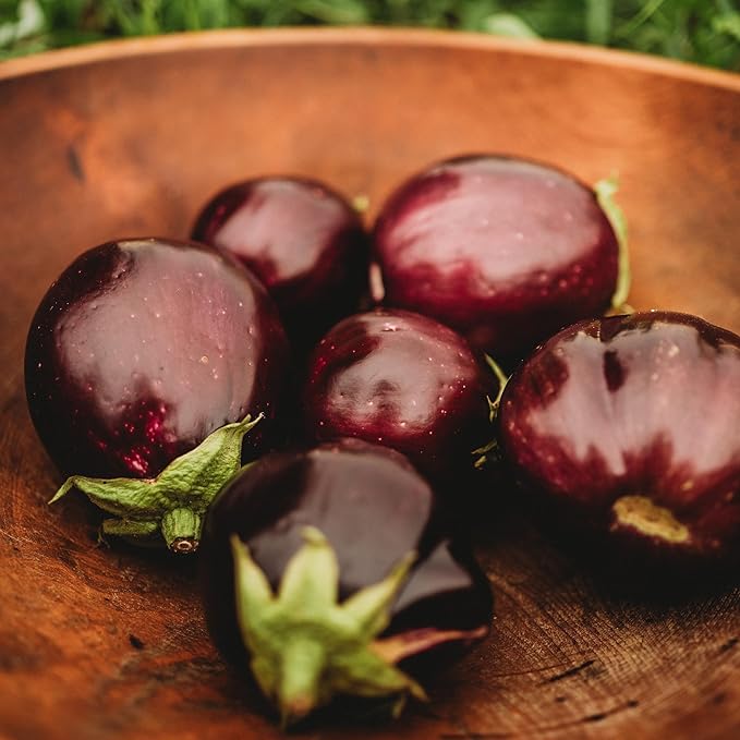 Black Beauty Eggplant - 50 Seeds - Heirloom & Open-Pollinated Variety, Non-GMO Vegetable Seeds for Planting Indoors or Outdoors in Containers or The Home Garden, Thresh Seed Company
