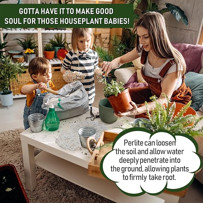 30QT Horticultural Perlite Bulk, Organic Perlite for Plants, Course Perlite for Gardening, for Plants Indoor, for Houseplants, to Promotes Soil Root Growth, and Water Drainage and Plant Growth(3-6mm)