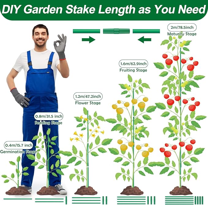 256PCS Garden Stakes Set with 75PCS 16 Inch Fiberglass Plant Sticks and Stake Arms, DIY 4ft 5ft 6ft 7ft 8ft Tomato Stakes, Garden Stakes for Vegetables Tomato Pepper Indoor Outdoor Plants