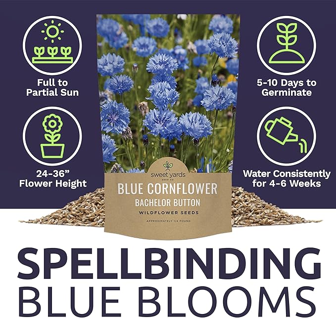 Blue Cornflower Seeds – Bachelor Buttons – Bulk Quarter Pound Bag – Over 20,000 Open Pollinated Non-GMO Wildflower Seeds – Centaurea cyanus