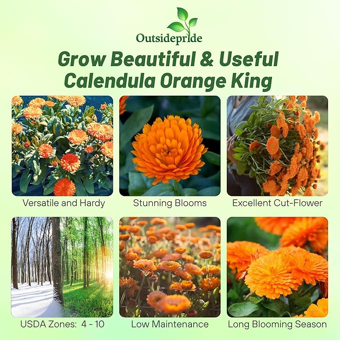 Outsidepride Orange King Calendula Seeds - 1000 Pcs Annual Edible Flower Seeds for Planting for Dishes & Wellness Uses, with Vibrant Blooms for Cut Flower, Container, & Pollinator Gardens