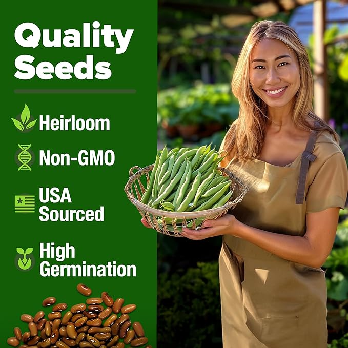 HOME GROWN Contender Bush Seeds - 56 Non GMO Heirloom Green Beans for Planting - Emergency Food Supply (Phaseolus vulgaris)