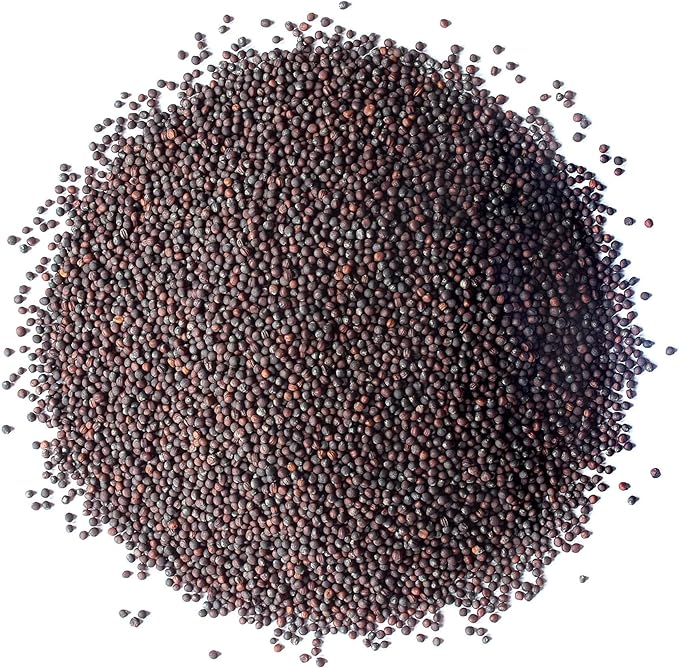 Food to Live Broccoli Seeds for Sprouting, 2.5 Pounds – Vegan, Kosher, Sirtfood, Bulk. Rich in Sulforaphane, Vitamin C, Vitamin A. Great for Growing Sprouts, Microgreens. High Germination Rate