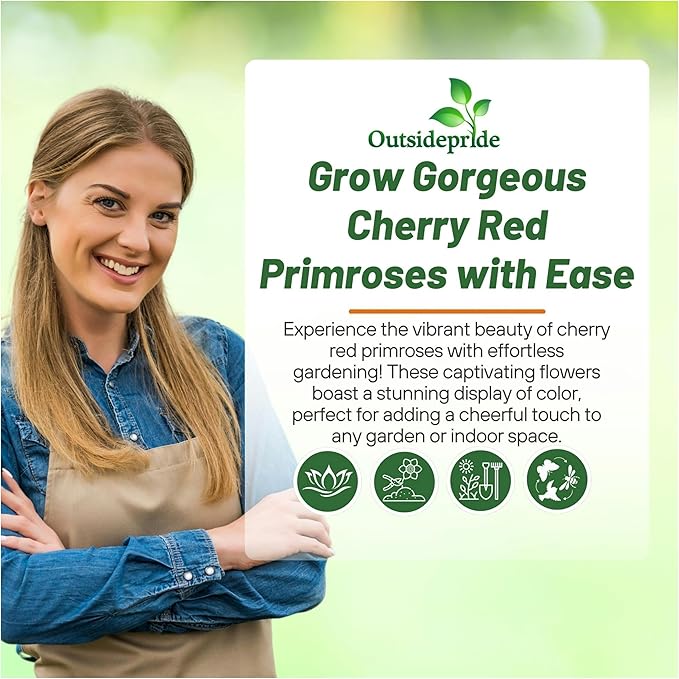 Outsidepride Danova Cherry Edge Common Primrose Seeds - 50 Pcs Annual, Hardy, Easy to Grow & Low Maintenance Flower Seeds for Planting Vibrant Soft Blooms, for Containers, Borders & Erosion Control
