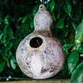 Birdhouse Gourd Garden Seed - 1 Oz ~158 Seeds - Non-GMO, Heirloom Vegetable Gardening Seeds - Cucurbita Species