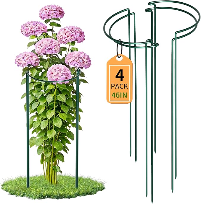 TCBWFY 4-Pack Plant Supports,16" Wx46 H Half Round Plant Support Stakes,6mm Thick Heavy-Duty Metal Peony Cage,Tall Garden Plant Support for Peony,Tomato,Hydrangea,Rose,Outdoor Flower Plant Stakes