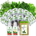Herb Seed Pod Kit, Grow Anything Kit for All Hydroponics Growing Systems, 14 Pods with 600+ Seeds of Genovese Basil, Thyme, Mint, Cilantro, Curly Parsley and Dill, Grow Your Own Herb Garden at Home