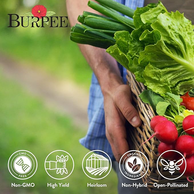 Burpee Heirloom Vegetable Seeds - 15,000+ Seeds - Beans, Beets, Cauliflower, Celery, Collards, Cucumber, Eggplant, Kale, Lettuce, Okra, Onion, Pea, Sweet Pepper, Radish, Squash, Tomato, Turnip