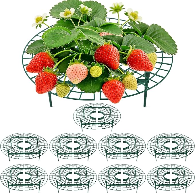 10 Pack Round Strawberry Plant Support,Strawberry Growing Kit,Reusable Plant Supports for Indoor Outdoor Growing