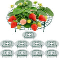 10 Pack Round Strawberry Plant Support,Strawberry Growing Kit,Reusable Plant Supports for Indoor Outdoor Growing