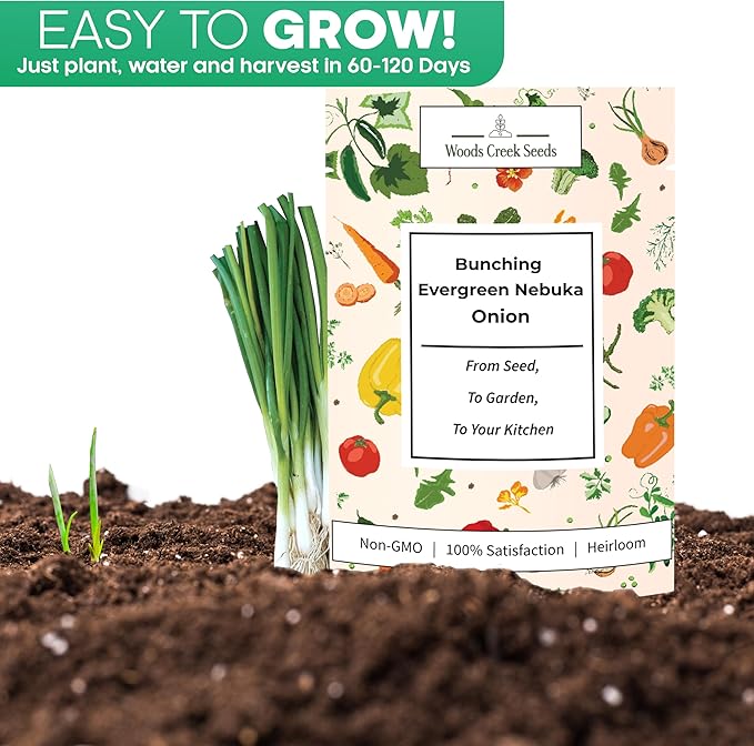 Woods Creek Seeds: Bunching Evergreen Nebuka White Onion Seeds for Planting - Heirloom Green Onion Seeds for Planting - Non-GMO Heirloom Seed Pack of Crisp Onions for Outdoors and Home Gardening