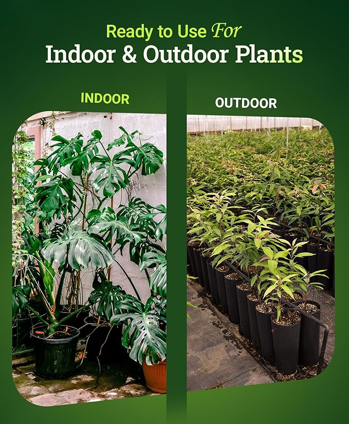FoxFarm Happy Frog Potting Soil - Ready-to-Use Amended Container Blend with Soil Microbes, Earthworm Castings, Bat Guano, and Aged Forest Products for Indoor & Outdoor Plants - 12 Quart (Pack of 2)