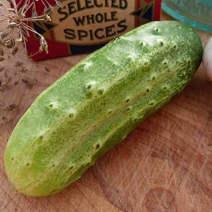 National Pickling Cucumber Seeds - 1/4 LB ~2,800 Seeds - Heirloom, Open Pollinated, Non-GMO, Farm & Vegetable Gardening Seed