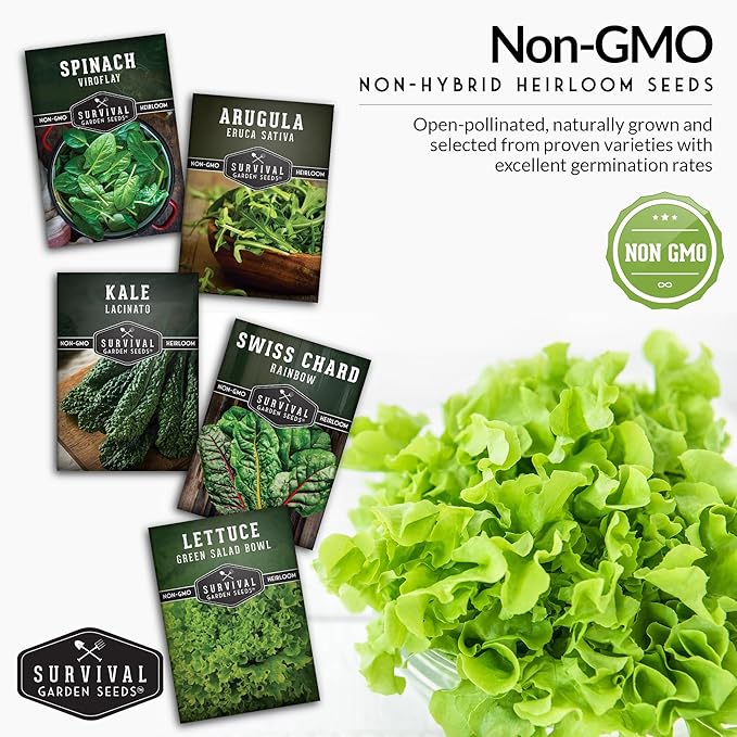 Survival Garden Seeds 5 Greens Collection Seed Vault – Grow Non-GMO Heirloom Green Leafy Vegetables – Viroflay Spinach, Arugula, Lacinato Kale, Salad Bowl Lettuce & Rainbow Swiss Chard Seed