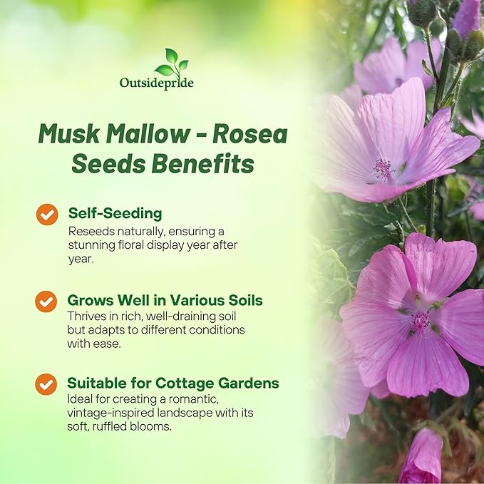Outsidepride Rosea Musk Mallow Hollyhock Seeds - 4,000 Pcs Perennial, Long-Blooming, Heat & Drought Tolerant Flower Seeds with Tall, Shrubby Blooms for Cottage Gardens & Cut Flowers