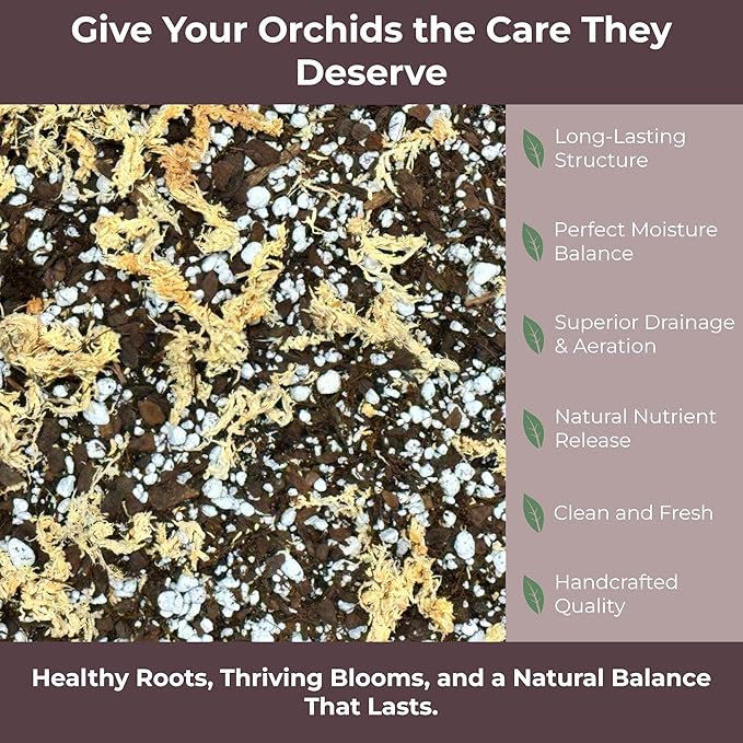 GARDENWISE Orchid Potting Mix – Orchid Bark, Sphagnum Moss, Tree Fern & Perlite for Repotting Phalaenopsis Orchids, Indoor Plants, Orchid Soil Medium – Sustrato para Orquídeas (2 Quart)