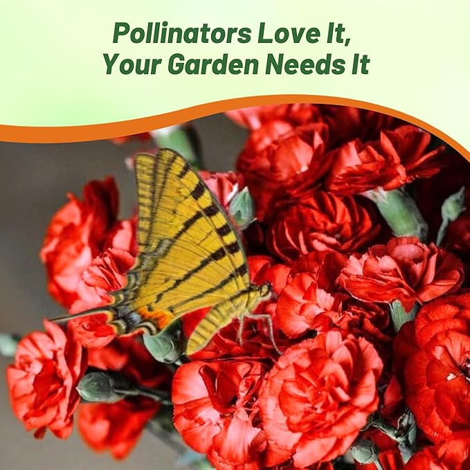 Outsidepride Scarlet Carnation Seeds - 2000 Pcs Biennial, Easy to Grow Flower Seeds for Planting with Fragrant Blooms, Ideal for Pollinators, Cutting Gardens, Bouquets, & Floral Arrangements
