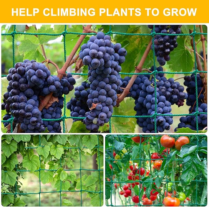 Garden Trellis Netting for Climbing Plants Outdoor, Plant Netting for Cucumber, Tomato, 6.6x32.8 FT Trellis Net with 4x4 Inch Mesh as Vegetable Netting for Grape, Bean,Growing Pea,w/Plant Clips