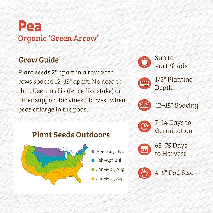 Back to The Roots 100% Organic Heirloom Seeds - Pea 'Pisum Sativum' Value Pack (16.8g Total)