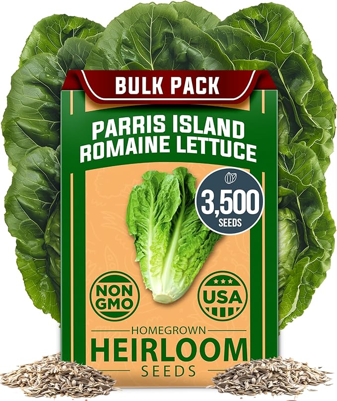 Kitchen Herbs – Lemon Balm, Cilantro, Romaine Lettuce & Cherry Belle Radish – 5,600+ 𝗡𝗢𝗡-𝗚𝗠𝗢 𝗨𝗦𝗔 Heirloom Seeds – Indoor & Outdoor Growing for Salads & Cooking