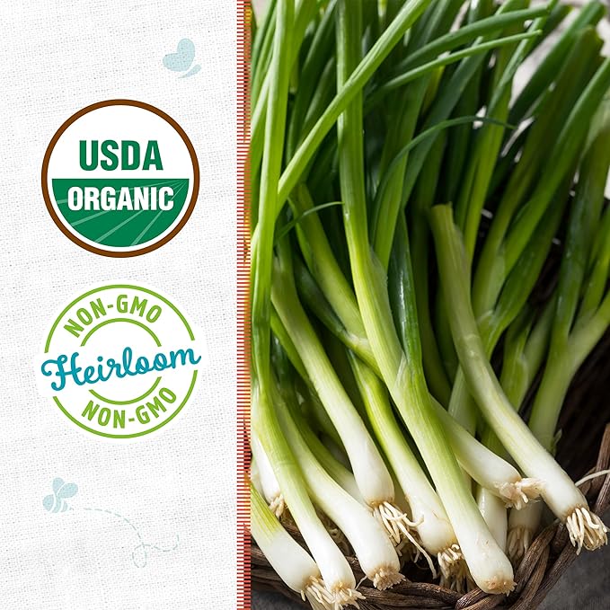 Back to The Roots 100% Organic Seed Packet - Onion 'Evergreen Bunching'