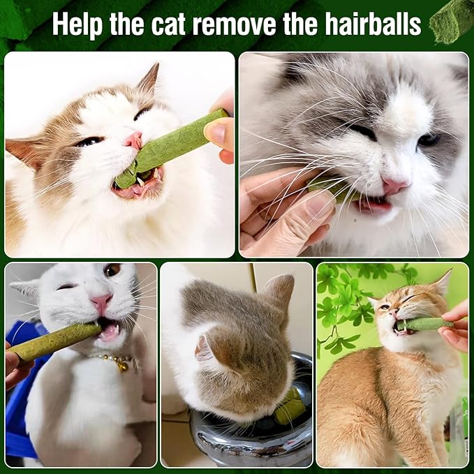 PawsGear 120g/4.23oz Cat Grass Teething Stick Hairballs,Chew Sticks for Cats,Catnip Toys Sticks Indoor Kitten Chew Stick (Green)