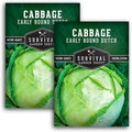 Early Round Dutch Cabbage Seeds for Planting | Heirloom Non-GMO Cold Hardy Variety for Spring & Fall Gardens - Storage & Sauerkraut Cabbages - Survival Garden Seeds (2 Packs)