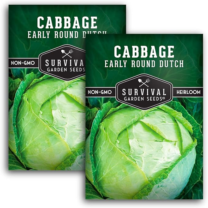 Early Round Dutch Cabbage Seeds for Planting | Heirloom Non-GMO Cold Hardy Variety for Spring & Fall Gardens - Storage & Sauerkraut Cabbages - Survival Garden Seeds (2 Packs)
