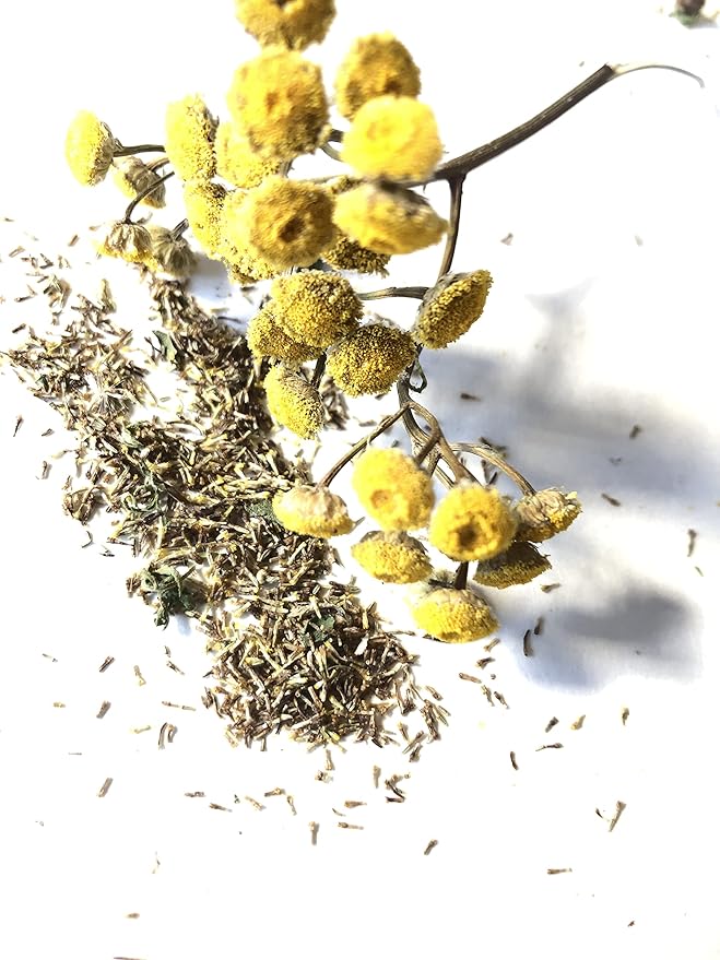 Organic Tansy Seeds (Tanacetum vulgare) 500 Seeds (0.1 Grams)