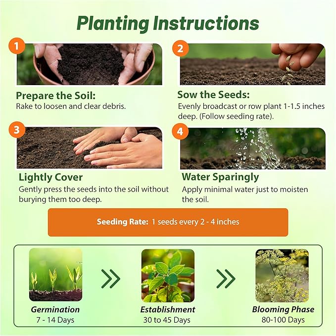 Outsidepride 1 oz. Annual Foeniculum Vulgare Fennel Herb Garden Seeds for Planting