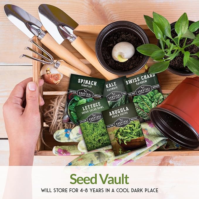 Survival Garden Seeds 5 Greens Collection Seed Vault – Grow Non-GMO Heirloom Green Leafy Vegetables – Viroflay Spinach, Arugula, Lacinato Kale, Salad Bowl Lettuce & Rainbow Swiss Chard Seed