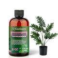 𝐏𝐑𝐄𝐌𝐈𝐔𝐌 Liquid Silica Plant Supplement - 8oz (250mL) - PHILODENDRON Plants Liquid Silica Boost Fertilizer - Stronger Stems & Healthy Leaves for Indoor & Outdoor Plants (Makes 45 Gallons)