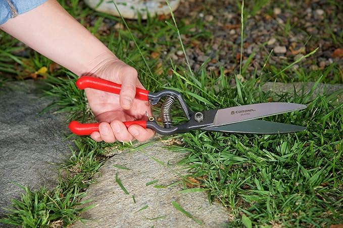 Corona GS 6750D ClassicCUT Grass Shear, Natural, 4 1/2 in