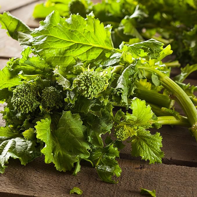 Broccoli Raab 1 Lb ~135,600 Seeds—Early Fall Rapini—Brassica rapa ruvo—Heirloom, Non-GMO Days to Harvest—Cool-Season Crop for Spring/Fall—Open Pollinated—Garden or Container