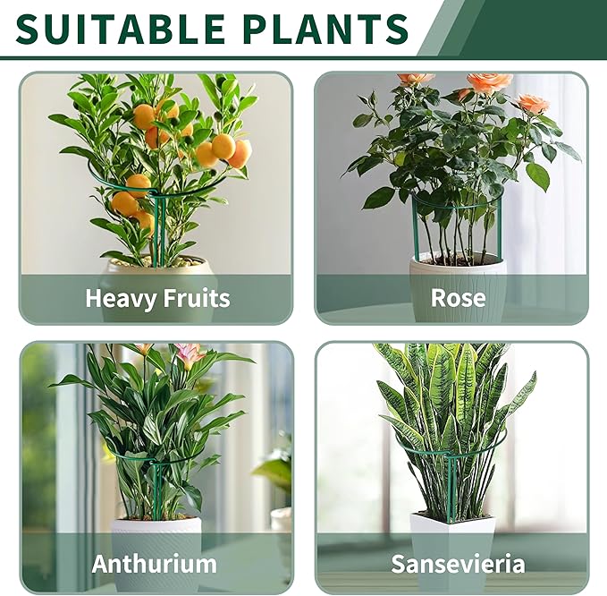 10 Pack Peony Cages and Supports, 10" (W) x 16"(H) Plant Support, Heavy-Duty Metal Plant Support Stakes, Plant Stakes for Outdoor & Indoor Plants, Perfect for Flowers and Vegetable