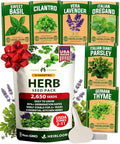 HOME GROWN 6 Herb Seeds for Planting 2,650+ Non-GMO Heirloom Seeds | Extra Large Variety Pack Herb Kit – Indoor Outdoor & Hydroponic | Culinary Seed Set | Grow Your Own Herbs | Gift for Beginners