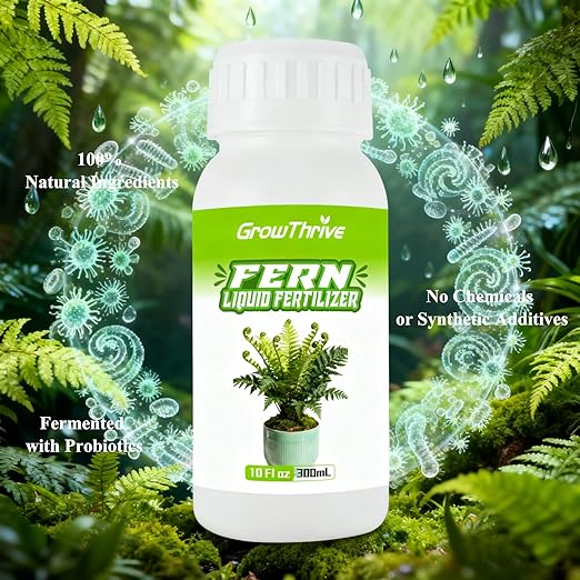 Fern Liquid Fertilizer – Natural Organic Plant Food for Ferns, Indoor & Outdoor Use, 10 Oz Concentrated Probiotic Formula for Greener Leaves, Strong Roots & Healthy Growth