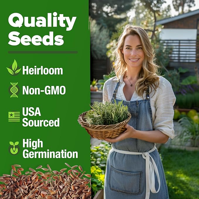 HOME GROWN 4-Pack Herb Seeds Bundle – 15 Culinary Herbs (4,500+), White Sage (646), Rosemary (300), Thai Basil (876) – Non-GMO, USA Heirloom Indoor Outdoor Garden Kit for Growing Fresh Herbs