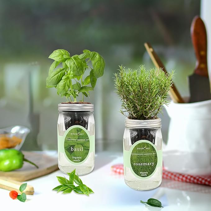 2-Pack Hydroponic Mason Jar Herb Garden Kit, Indoor Herb Garden Self-Watering Starter Kit, New Christmas Gift for Mom (Cilantro,Mint)