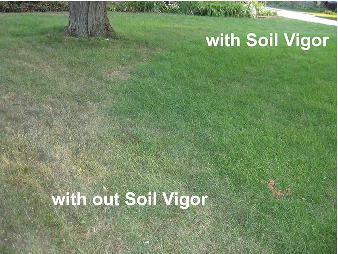 The Ultimate Super Absorbent Polymer for Thirsty Plants - Reduce Watering, Boost Growth, and Save Water-1 Pound