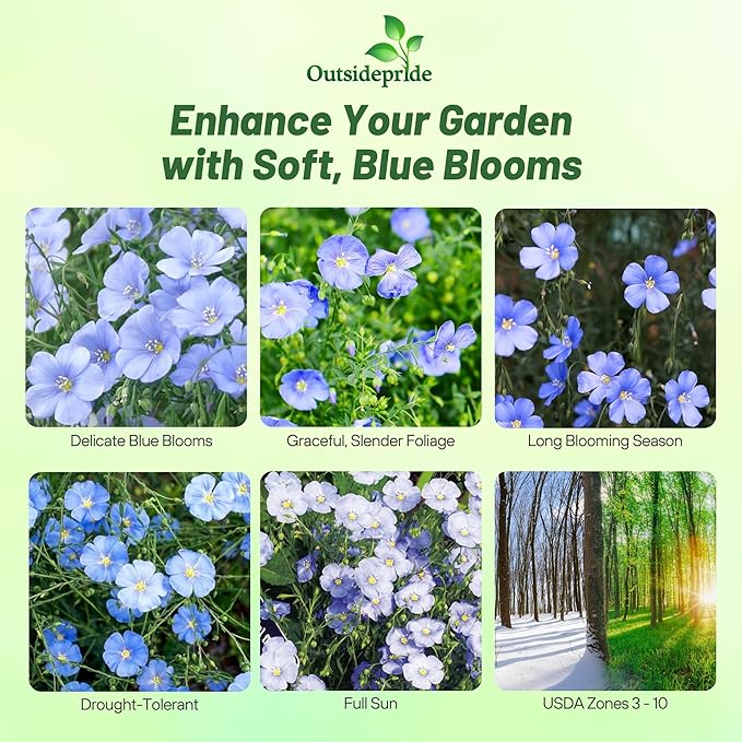 Outsidepride Blue Flax Seeds - 5000 Pcs Perennial Flower Seeds for Planting, Self-Seeding, Drought-Tolerant w/Compact Growth, Ideal for Small Gardens, Meadows, Borders, or Mass Plantings