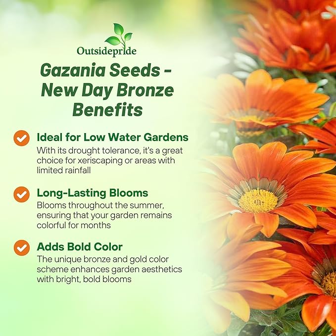 Outsidepride New Day Bronze Gazania Seeds for Planting – 25 Pcs Perennial, Low-Maintenance, Drought-Tolerant Ground Cover Seeds for Vibrant Summer & Fall Flowers, Great for Outdoor Gardens