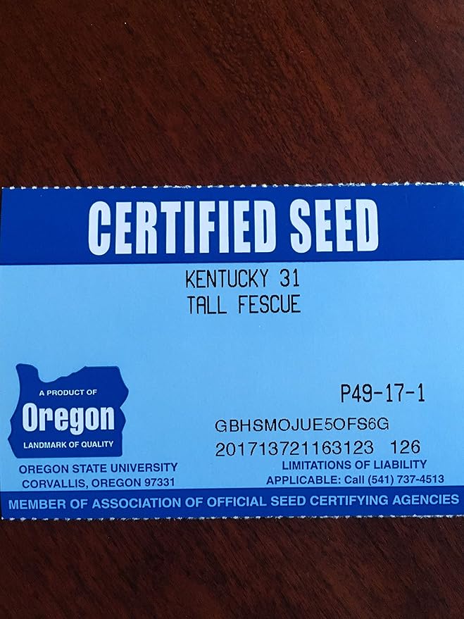 Kentucky 31 K31 Tall Fescue Grass Seed by Eretz - Choose Size! State Certified, No fillers, No Weed or Other Crop Seeds (1lb)