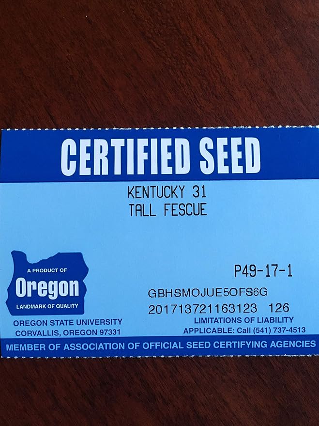 Kentucky 31 K31 Tall Fescue Grass Seed by Eretz - Choose Size! State Certified, No fillers, No Weed or Other Crop Seeds (8oz)
