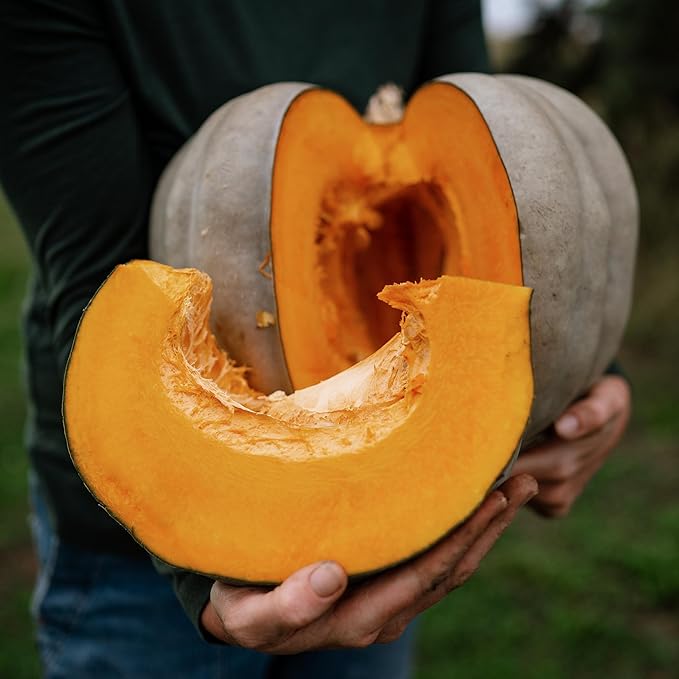Jarrahdale Blue Pumpkin Winter Squash - 25 Seeds - Heirloom & Open-Pollinated Variety, Easy-to-Grow, Non-GMO Vegetable Seeds for Planting Outdoors in The Home Garden, Thresh Seed Company