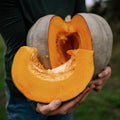 Jarrahdale Blue Pumpkin Winter Squash - 25 Seeds - Heirloom & Open-Pollinated Variety, Easy-to-Grow, Non-GMO Vegetable Seeds for Planting Outdoors in The Home Garden, Thresh Seed Company