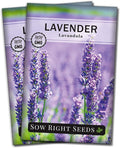 Sow Right Seeds - English Lavender Seeds for Planting - Non-GMO Heirloom Packet with Instructions to Grow Beautiful Indoor or Outdoor Herb Garden - Attract Pollinators - Perennial Purple Blooms (2)