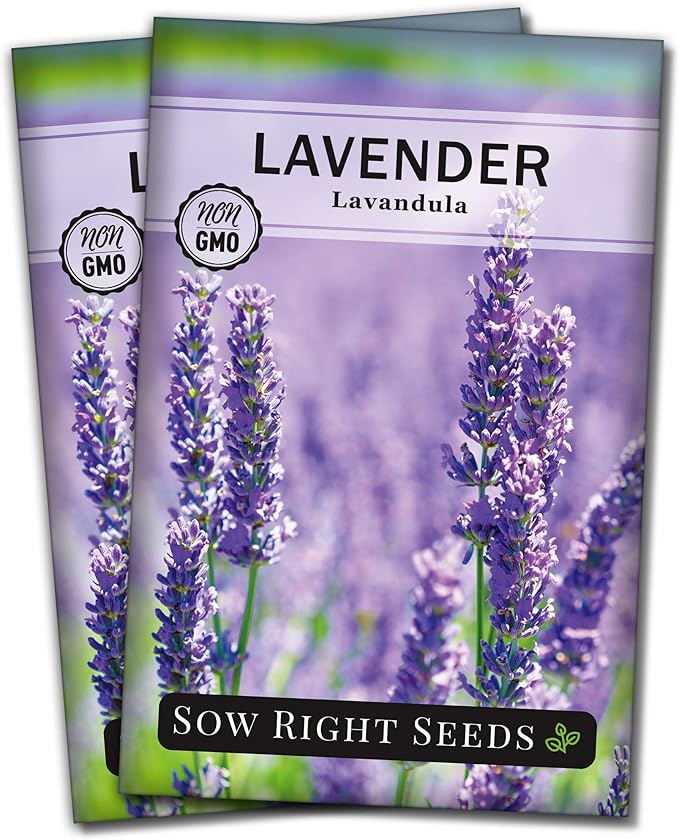 Sow Right Seeds - English Lavender Seeds for Planting - Non-GMO Heirloom Packet with Instructions to Grow Beautiful Indoor or Outdoor Herb Garden - Attract Pollinators - Perennial Purple Blooms (2)